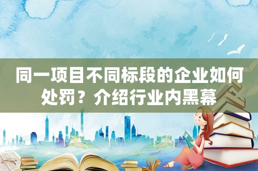 同一項目不同標段的企業如何處罰？介紹行業內黑幕