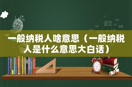 一般納稅人啥意思（一般納稅人是什么意思大白話）