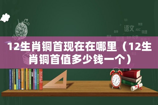12生肖銅首現在在哪里（12生肖銅首值多少錢一個）