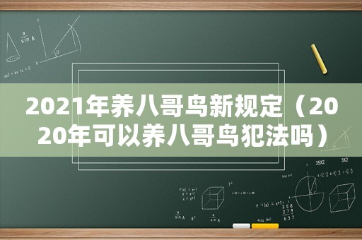 2021年養八哥鳥新規定（2020年可以養八哥鳥犯法嗎）