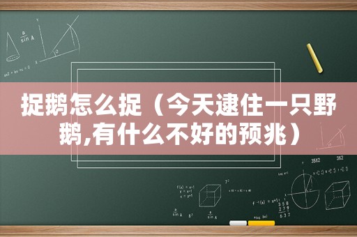 捉鵝怎么捉（今天逮住一只野鵝,有什么不好的預(yù)兆）