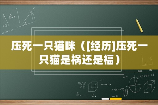 壓死一只貓咪（[經(jīng)歷]壓死一只貓是禍還是福）