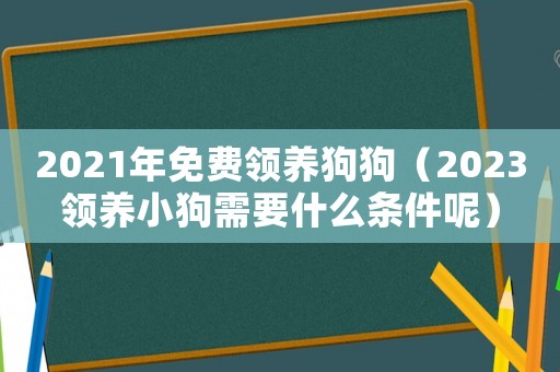 2021年免費領養狗狗（2023領養小狗需要什么條件呢）