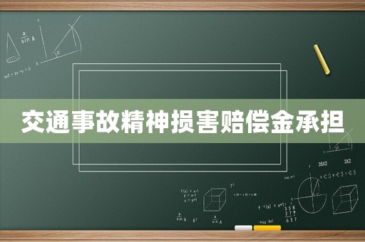 交通事故精神損害賠償金承擔(dān)