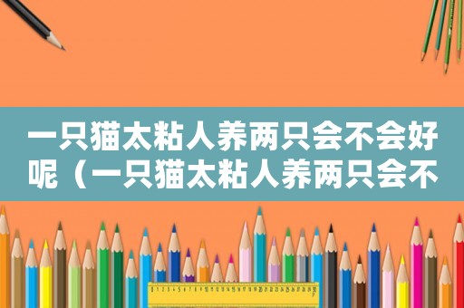 一只貓?zhí)橙损B(yǎng)兩只會不會好呢（一只貓?zhí)橙损B(yǎng)兩只會不會好）