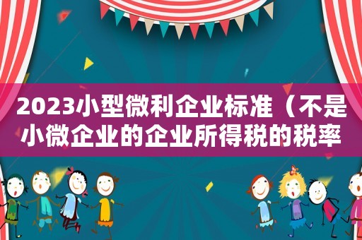 2023小型微利企業(yè)標(biāo)準(zhǔn)（不是小微企業(yè)的企業(yè)所得稅的稅率是多少）