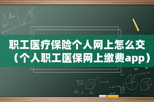 職工醫療保險個人網上怎么交（個人職工醫保網上繳費app）