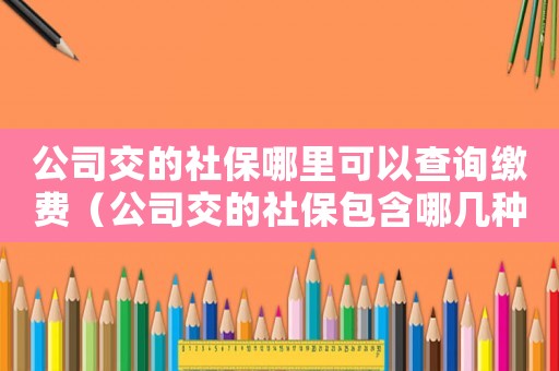 公司交的社保哪里可以查詢繳費（公司交的社保包含哪幾種保險怎么查詢）