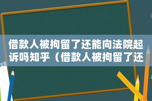 借款人被拘留了還能向法院起訴嗎知乎（借款人被拘留了還能向法院起訴嗎）