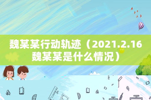 魏某某行動軌跡（2021.2.16魏某某是什么情況）