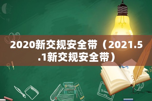 2020新交規安全帶（2021.5.1新交規安全帶）