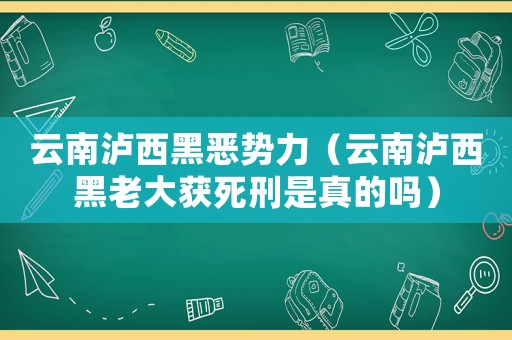 云南瀘西黑惡勢力（云南瀘西黑老大獲死刑是真的嗎）