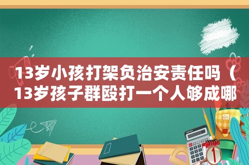 13歲小孩打架負(fù)治安責(zé)任嗎（13歲孩子群毆打一個人夠成哪條法律）
