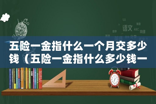 五險一金指什么一個月交多少錢（五險一金指什么多少錢一個月）