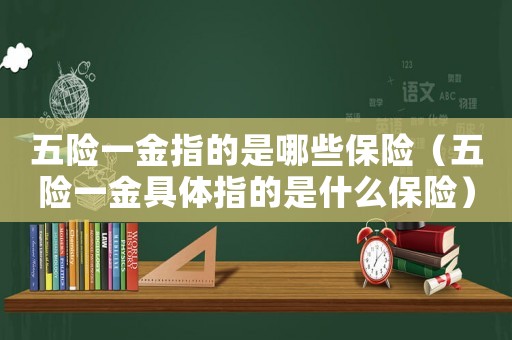 五險一金指的是哪些保險（五險一金具體指的是什么保險）