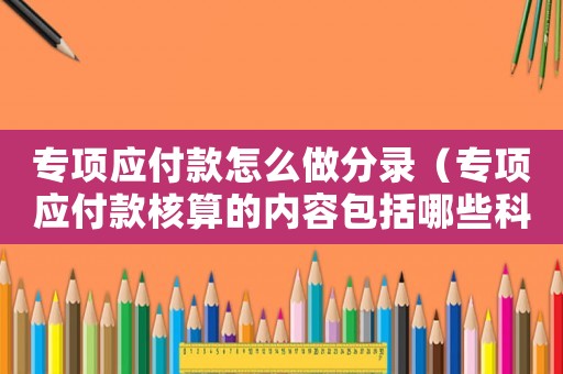 專項應付款怎么做分錄（專項應付款核算的內容包括哪些科目）