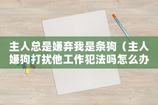 主人總是嫌棄我是條狗（主人嫌狗打擾他工作犯法嗎怎么辦）