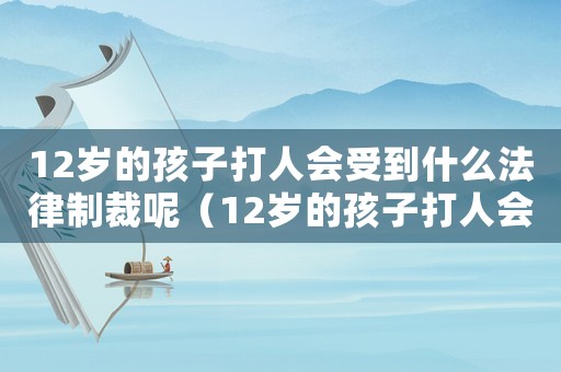 12歲的孩子打人會受到什么法律制裁呢（12歲的孩子打人會受到什么法律制裁）
