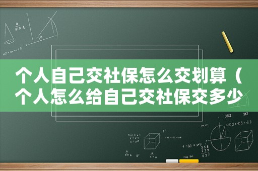 個人自己交社保怎么交劃算（個人怎么給自己交社保交多少）