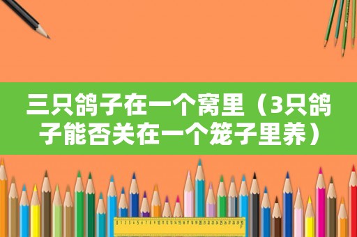 三只鴿子在一個窩里（3只鴿子能否關在一個籠子里養）