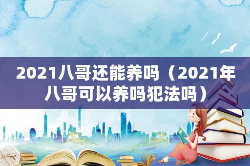 2021八哥還能養嗎（2021年八哥可以養嗎犯法嗎）
