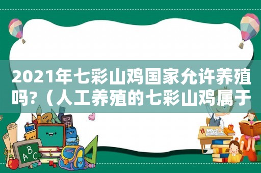 2021年七彩山雞國家允許養殖嗎?（人工養殖的七彩山雞屬于家禽嗎）