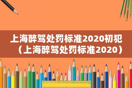 上海醉駕處罰標準2020初犯（上海醉駕處罰標準2020）