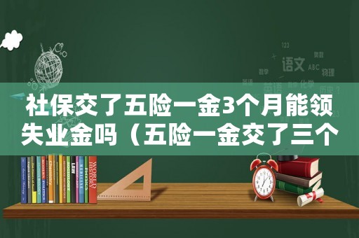 社保交了五險一金3個月能領失業金嗎（五險一金交了三個月里面的錢可以用嗎）