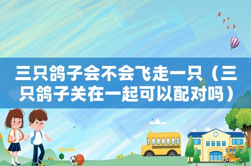 三只鴿子會不會飛走一只（三只鴿子關在一起可以配對嗎）