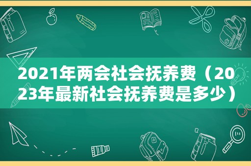 2021年兩會社會撫養費（2023年最新社會撫養費是多少）