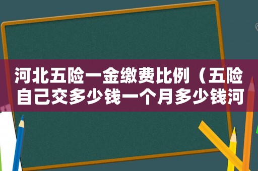 河北五險(xiǎn)一金繳費(fèi)比例（五險(xiǎn)自己交多少錢一個(gè)月多少錢河北?。? title=