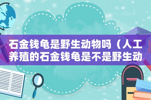 石金錢龜是野生動(dòng)物嗎（人工養(yǎng)殖的石金錢龜是不是野生動(dòng)物）