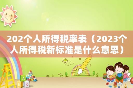 202個人所得稅率表（2023個人所得稅新標(biāo)準(zhǔn)是什么意思）