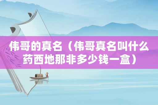 偉哥的真名（偉哥真名叫什么藥西地那非多少錢一盒）