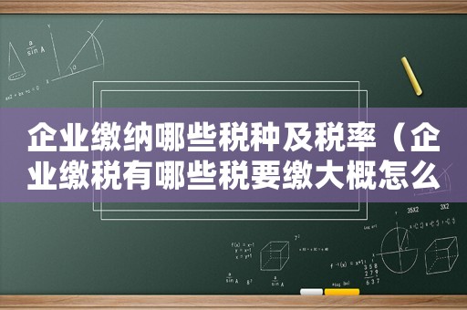 企業繳納哪些稅種及稅率（企業繳稅有哪些稅要繳大概怎么算的）