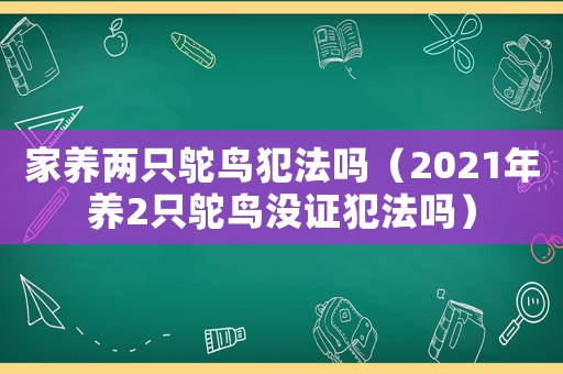 家養兩只鴕鳥犯法嗎（2021年養2只鴕鳥沒證犯法嗎）