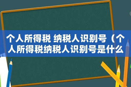 個人所得稅 納稅人識別號（個人所得稅納稅人識別號是什么意思）