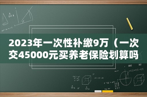 2023年一次性補繳9萬（一次交45000元買養老保險劃算嗎）