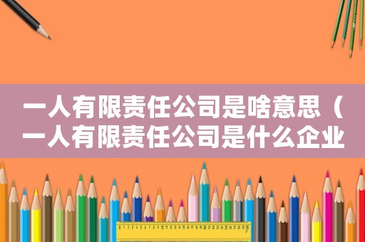 一人有限責任公司是啥意思（一人有限責任公司是什么企業類型）