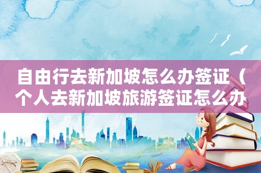 自由行去新加坡怎么辦簽證（個人去新加坡旅游簽證怎么辦理流程）