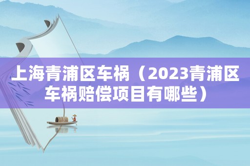 上海青浦區車禍（2023青浦區車禍賠償項目有哪些）