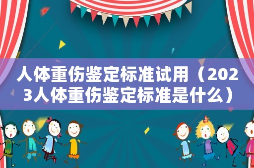 人體重傷鑒定標準試用（2023人體重傷鑒定標準是什么）