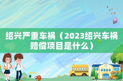 紹興嚴重車禍（2023紹興車禍賠償項目是什么）
