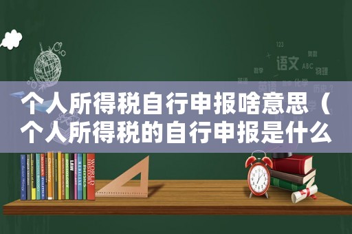 個人所得稅自行申報啥意思（個人所得稅的自行申報是什么意思呀）