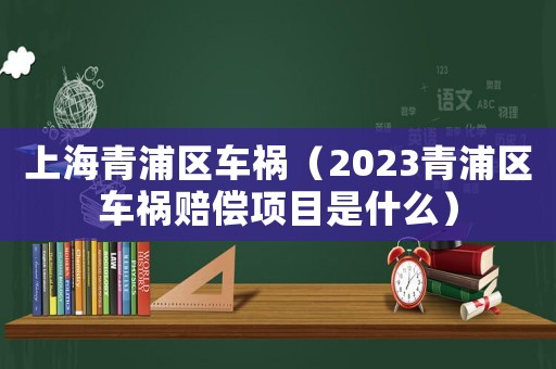 上海青浦區車禍（2023青浦區車禍賠償項目是什么）