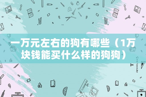一萬元左右的狗有哪些（1萬塊錢能買什么樣的狗狗）