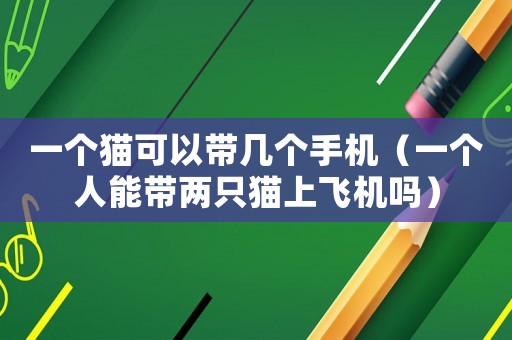 一個貓可以帶幾個手機（一個人能帶兩只貓上飛機嗎）