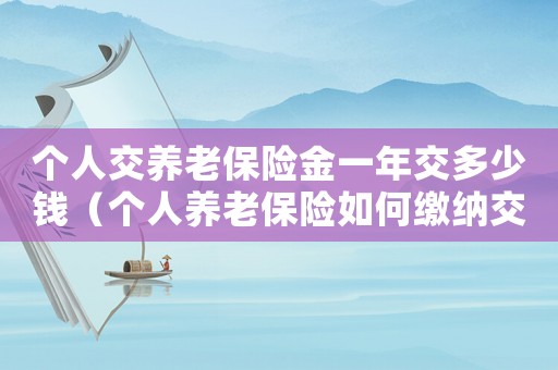 個人交養老保險金一年交多少錢（個人養老保險如何繳納交十年）