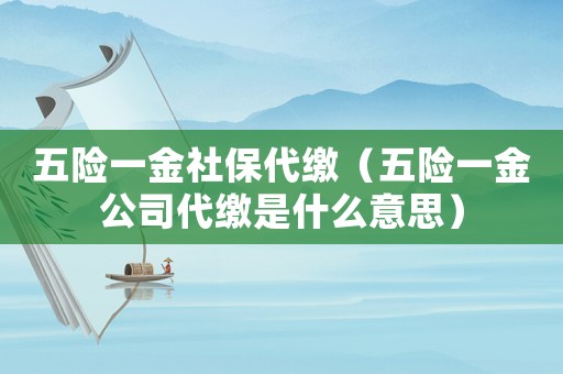 五險(xiǎn)一金社保代繳（五險(xiǎn)一金公司代繳是什么意思）