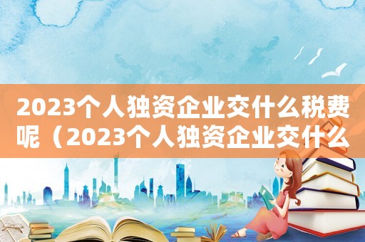 2023個人獨資企業交什么稅費呢（2023個人獨資企業交什么稅費）